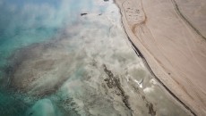 News: Dakar 2023: la sfida nel deserto diventa un docufilm su Sky