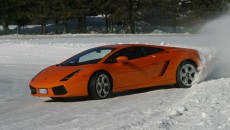 Auto - News: 2003 – 2023: Auguri Lamborghini Gallardo!