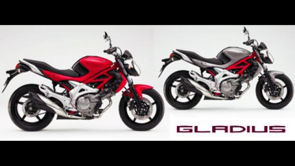 Moto - News: Suzuki Gladius vince il 