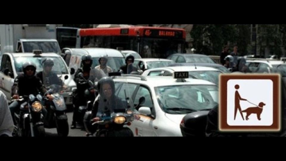 Moto - News: Incidente da cani? Paga il proprietario Moto - News: Incidente da cani? Paga il proprietario