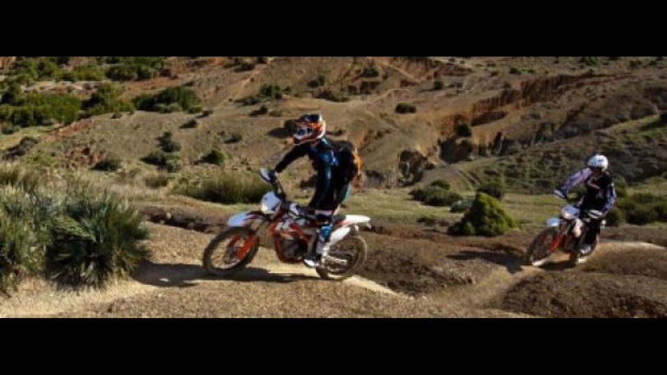 Moto - News: KTM Freeride 350: è in concessionaria 