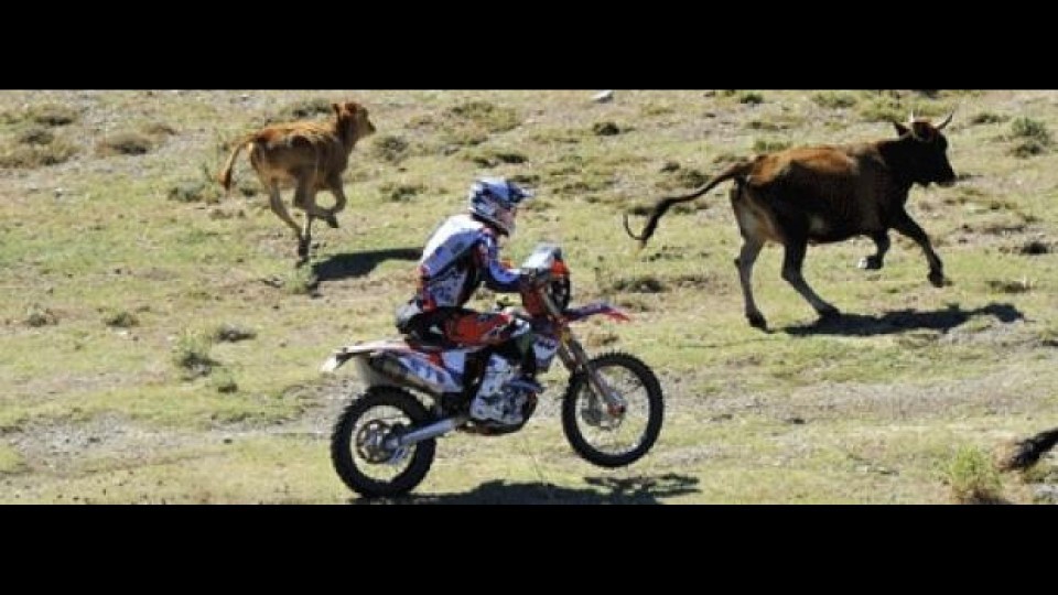 Moto - News: Sardegna Rally Race2012: terza tappa a Marc Coma 