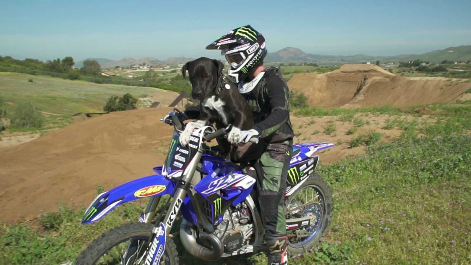 Moto - News: Cosa NON fare con un cane e una moto da cross [VIDEO]