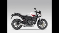 Moto - News: Honda Hornet 2009