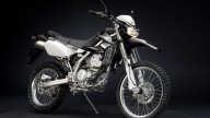 Moto - News: Kawasaki KLX 250