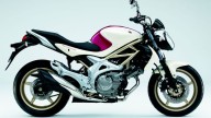 Moto - News: Suzuki Gladius