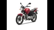 Moto - News: Yamaha YBR 125 m.y. 2010