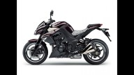 Moto - News: Kawasaki Test Ride 2010