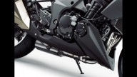 Moto - News: Kawasaki Test Ride 2010