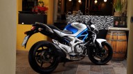 Moto - News: Suzuki Gladius in promozione fino al 30 aprile 2010