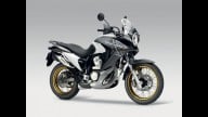 Moto - News: INTERMOT 2010: tutte le novità