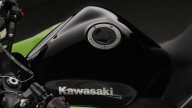 Moto - News: La Kawasaki in un mercato che cambia