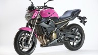Moto - Gallery: Yamaha XJ6 Rosa Italia
