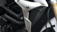 Moto - News: Mercato: nuovo Vice Presidente per Suzuki Italia Divisione Motocicli 
