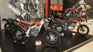 Moto - News: Beta RR Cross Country 2012