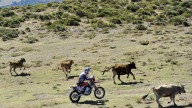 Moto - News: Sardegna Rally Race2012: terza tappa a Marc Coma 