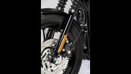 Moto - News: Harley-Davidson 2013: Sportster Iron 883 Special Edition