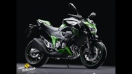 Moto - News: Kawasaki Z 800 2013