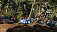 Moto - News: Mondiale Motocross 2012: a Lierop, Cairoli vola verso il Titolo