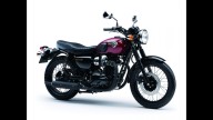 Moto - Gallery: Kawasaki W800 2013