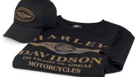 Moto - News: Harley-Davidson 2013: collezione 110th Anniversary