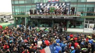 Moto - News: World Endurance 2012 - Illustrated 