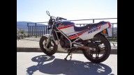 Moto - News: Honda NS 125 F: la piccola saetta