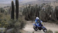 Moto - News: Dakar 2013: 14° tappa a Faria, ma il rally è di Cyril Despres! FOTO e VIDEO