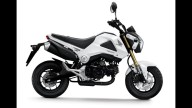 Moto - News: Honda MSX125 2013: la minibike... X-treme!