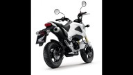 Moto - News: Honda MSX125 2013: la minibike... X-treme!