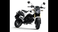 Moto - News: Honda MSX125 2013: la minibike... X-treme!