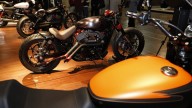 Moto - Gallery: Harlay-Davidson a EICMA 2013