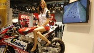 Moto - Gallery: Le ragazze di EICMA 2013 - Parte 2