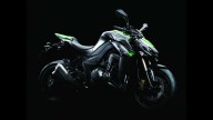 Moto - Test: Kawasaki Z 1000 2014 - “La pantera… verde” - TEST