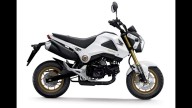 Moto - News: Honda MSX125: nuovi colori 2014