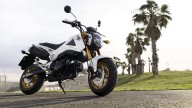 Moto - News: Honda MSX125: nuovi colori 2014