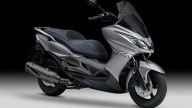 Moto - News: Kawasaki J300 2014: prorogata la promozione lancio