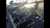 Moto - News: L'Harley-Davidson di Papa Francesco battuta all'asta per 241.500 euro