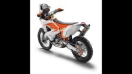 Moto - News: KTM 450 Rally Replica 2014: disponibilità e prezzo