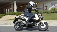 Moto - News: Honda MSX125: la compra il papà e la usa il figlio?