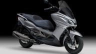 Moto - News: Kawasaki J300: rinnovata ancora la promozione