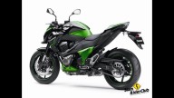Moto - News: Kawasaki Z800e: offerta speciale per tutto il mese di giugno