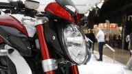 Moto - News: MV Agusta Stradale 800 