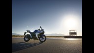 Moto - News: Yamaha YZF-R3 2015: "da grande sarò una R1"