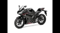 Moto - News: Yamaha YZF-R3 2015: "da grande sarò una R1"