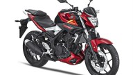 Moto - News: Yamaha MT-25 2016