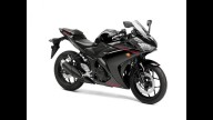 Moto - News: Accessori R&G per la nuova Yamaha R3 