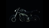 Moto - News: Yamaha MT-09 Baja by Oberdan Bezzi