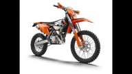 Moto - News: KTM Gamma Enduro 2017