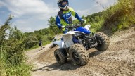 Moto - News: Yamaha YFZ50 2017: piccoli quaddisti crescono
